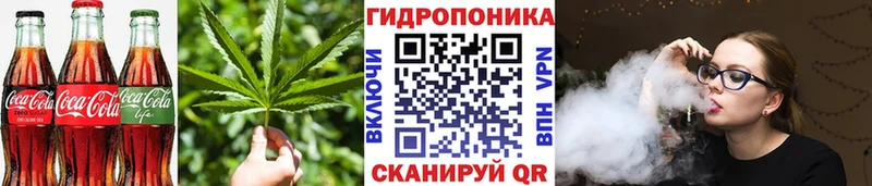 МЕГА ONION  как найти закладки  Порхов  Cannafood конопля 