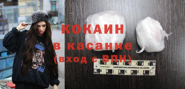 крисы Алексин