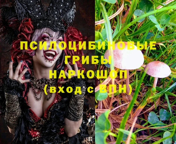 дурь Алзамай