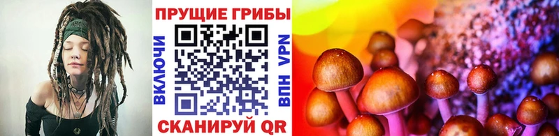 MEGA tor  цены наркотик  Порхов  Галлюциногенные грибы мицелий 